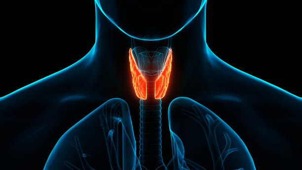 ग्रसनी और स्वरयंत्र कैंसर (Pharyngeal and laryngeal cancer)