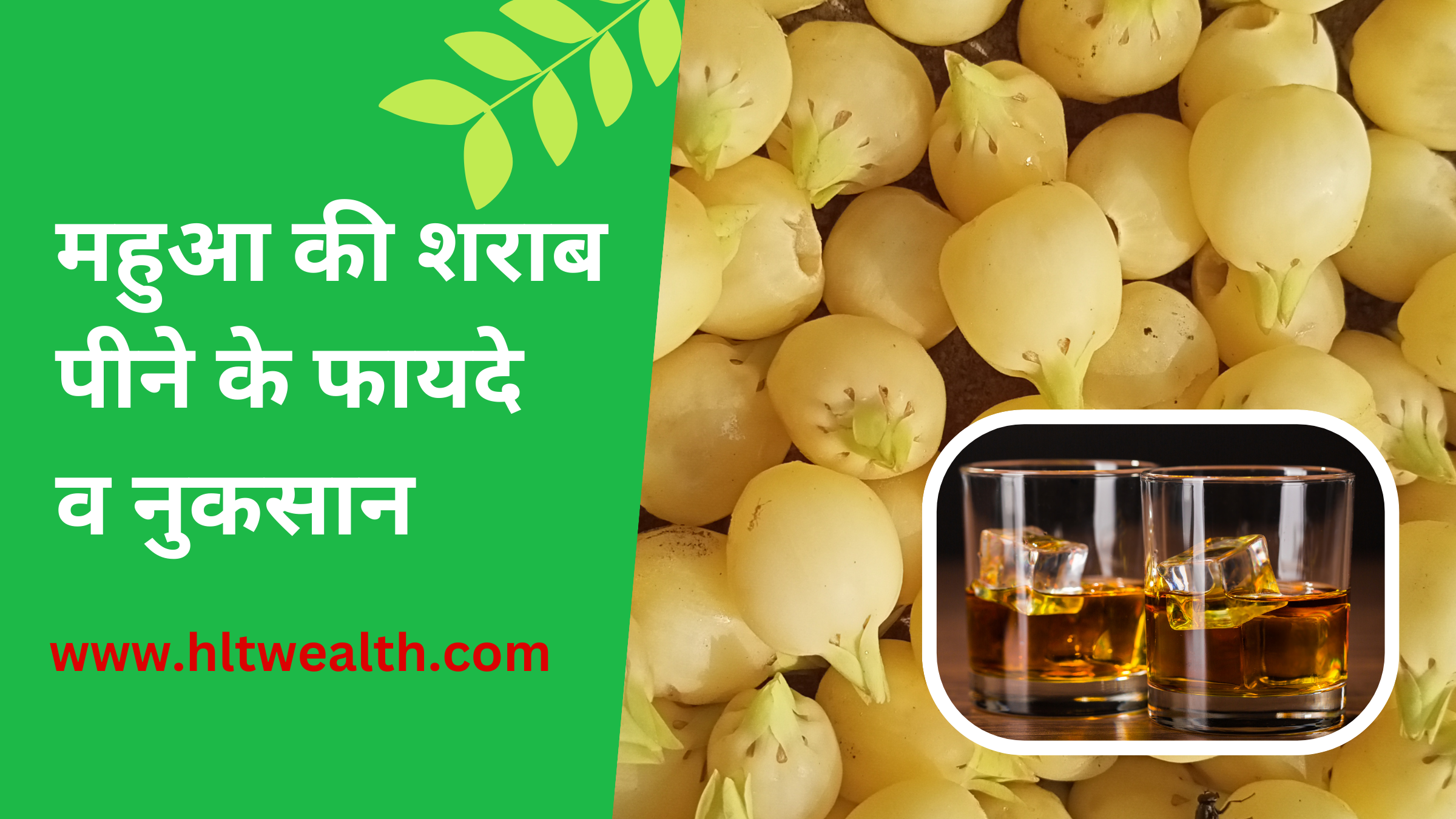 Mahua liquor/ महुआ की शराब