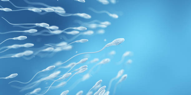 स्पर्म / increase sperm count