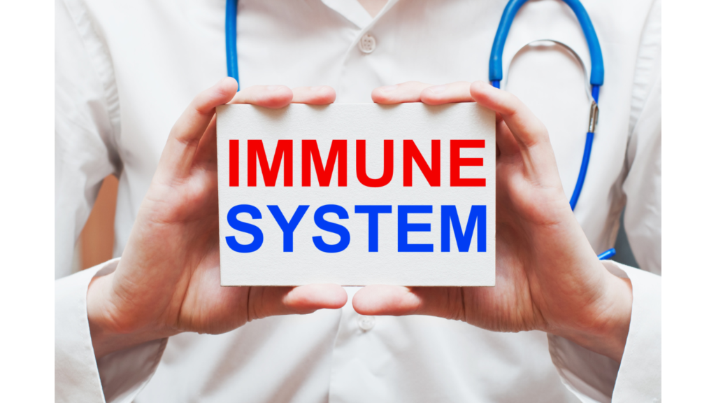 immune system 