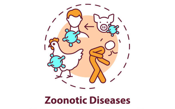 zoonotic disease 