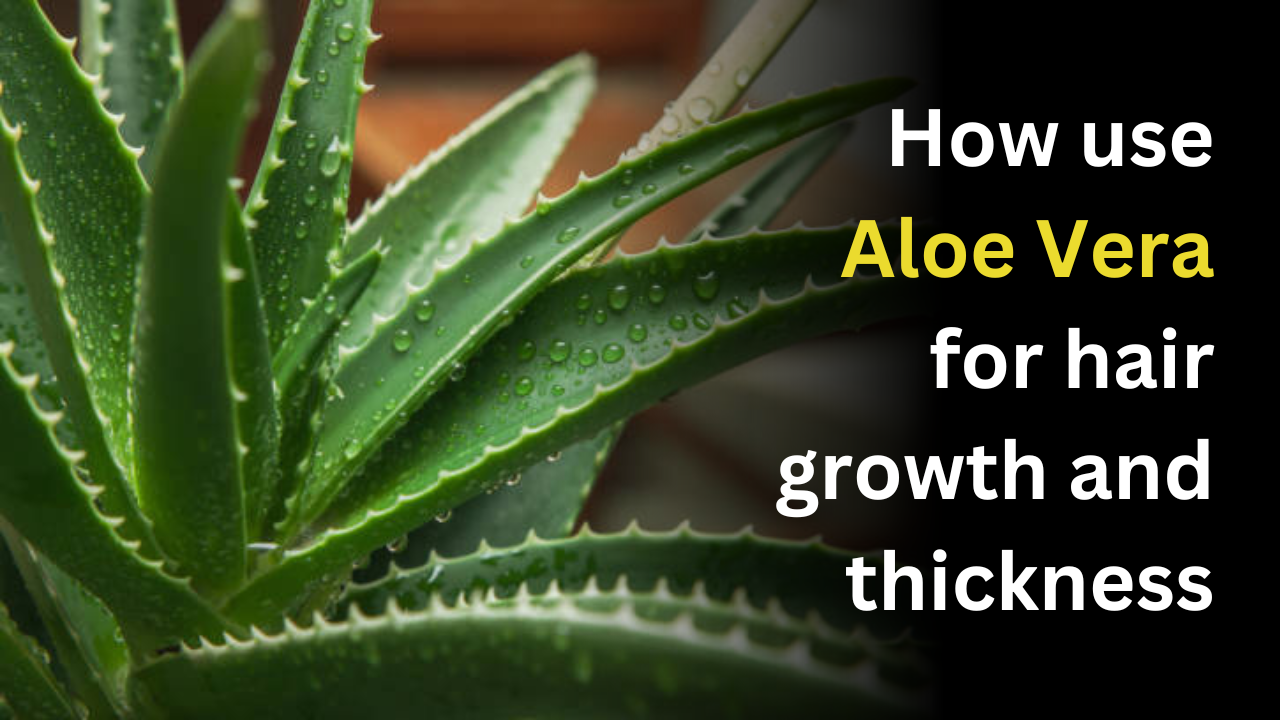 How use Aloe Vera for hair growth and thickness