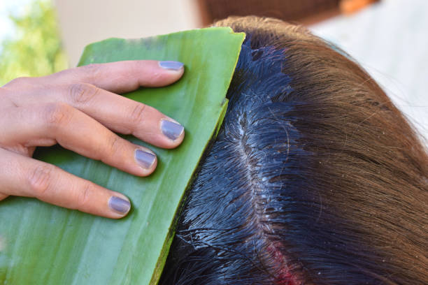 Using aloevera juice as a hair conditioner