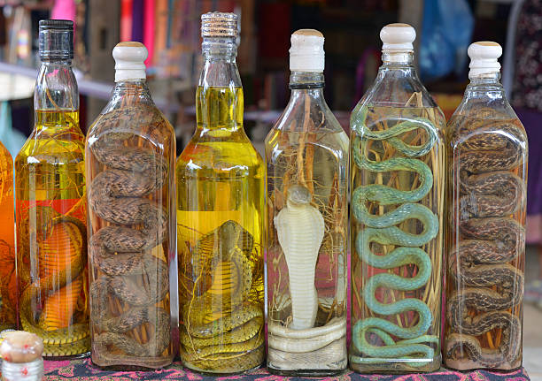 snake wine