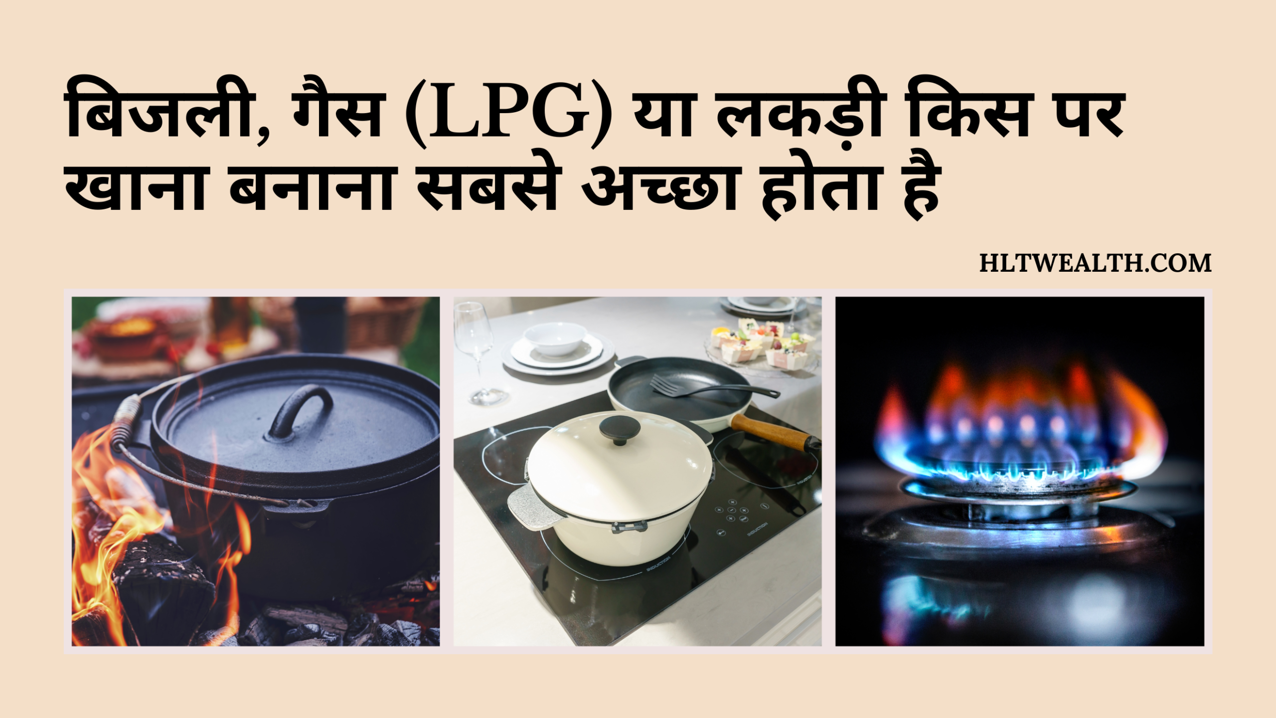 बिजली, गैस (LPG) या लकड़ी किस पर खाना बनाना सबसे अच्छा होता है?