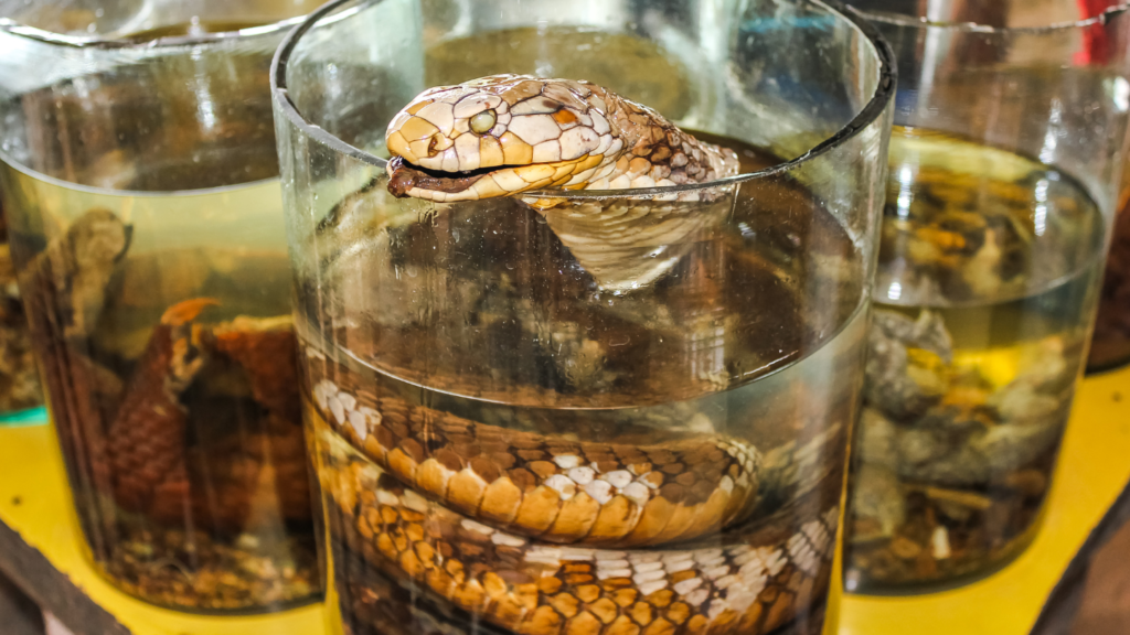 Side effects of Snake wine